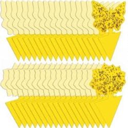 Stingmon 12 Pack Sticky Fruit Fly and Fungus Gnat Traps