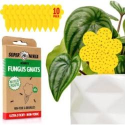 Super Ninja Fungus Gnat Killer for Indoor Plants